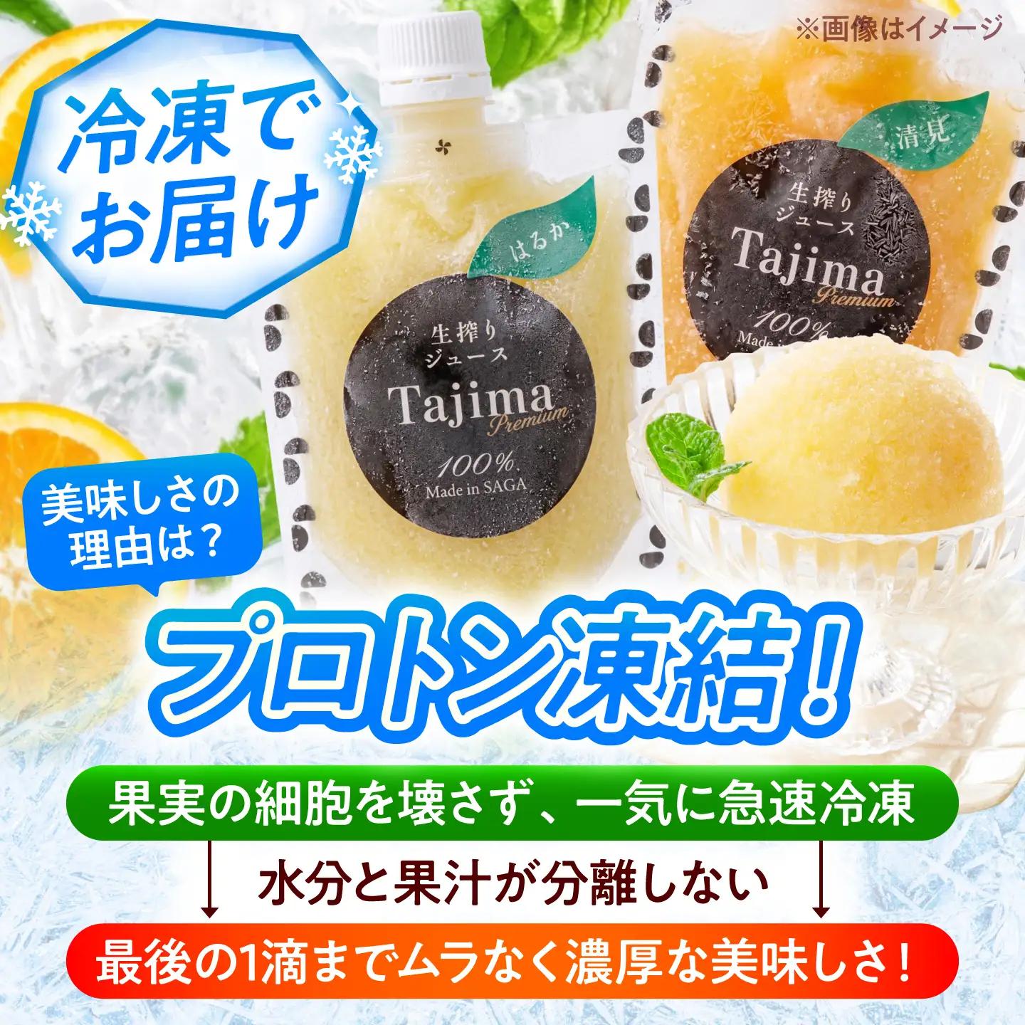冷凍ジュース10種飲み比べ / みかん いちご 苺 ジュース 果汁100% / 佐賀県 / 合同会社田島柑橘園＆加工所[41ATAD001]