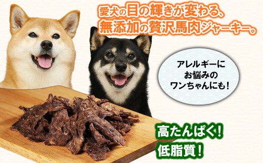 【定期便12回】ペットフード 馬刺し ジャーキー 100g ( 50g × 2パック )×12回 配送