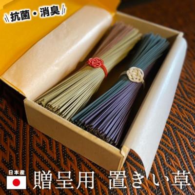 ふるさと納税 久留米市 置きイグサ　2本セット | 