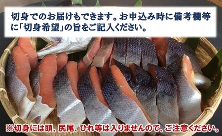 【北海道産鮭使用】 【年内発送】 ※数量限定※ 寒風干し新巻鮭 1本 海鮮 魚介 魚介類 魚 鮭 サケ さけ しゃけ サーモン 味付き 年内配送 年内お届け