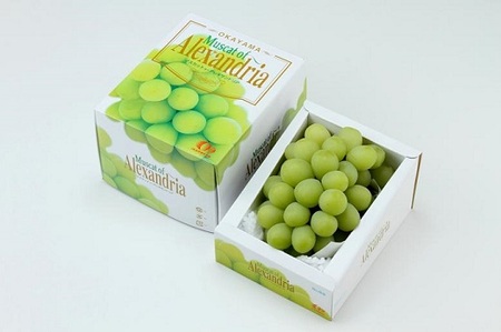 マスカットオブアレキサンドリア 1房(600g以上・秀品以上) 化粧箱入り