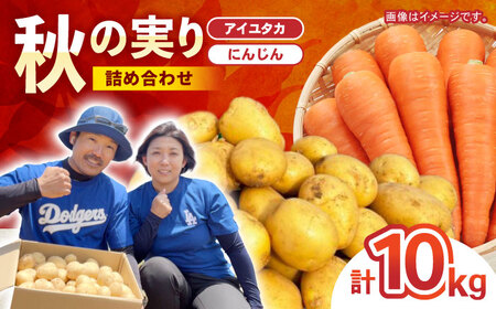秋の実り詰合せ（アイユタカ・ニンジン）10kg / じゃがいも ジャガイモ ポテト 九州 あいゆたか アイユタカ にんじん ニンジン 人参 野菜 やさい / 諫早市 / スマイルファーム　[AHFG009]