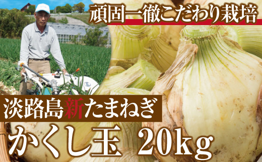 
【新たまねぎ】今井ファームの淡路島たまねぎ「かくし玉」20kg【発送時期2024年4月下旬～5月頃】
