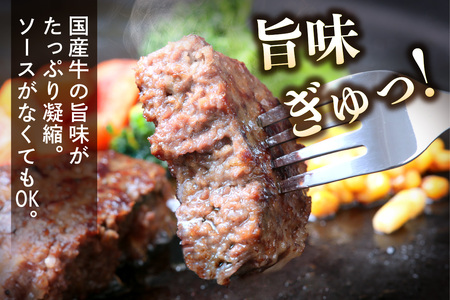 [ジュワッと肉汁まで美味い！] 柏木牧場特製 国産牛100%ハンバーグ (120g×20個)｜国産 ハンバーグ 冷凍 グルメ ギフト お惣菜 惣菜  [0068]