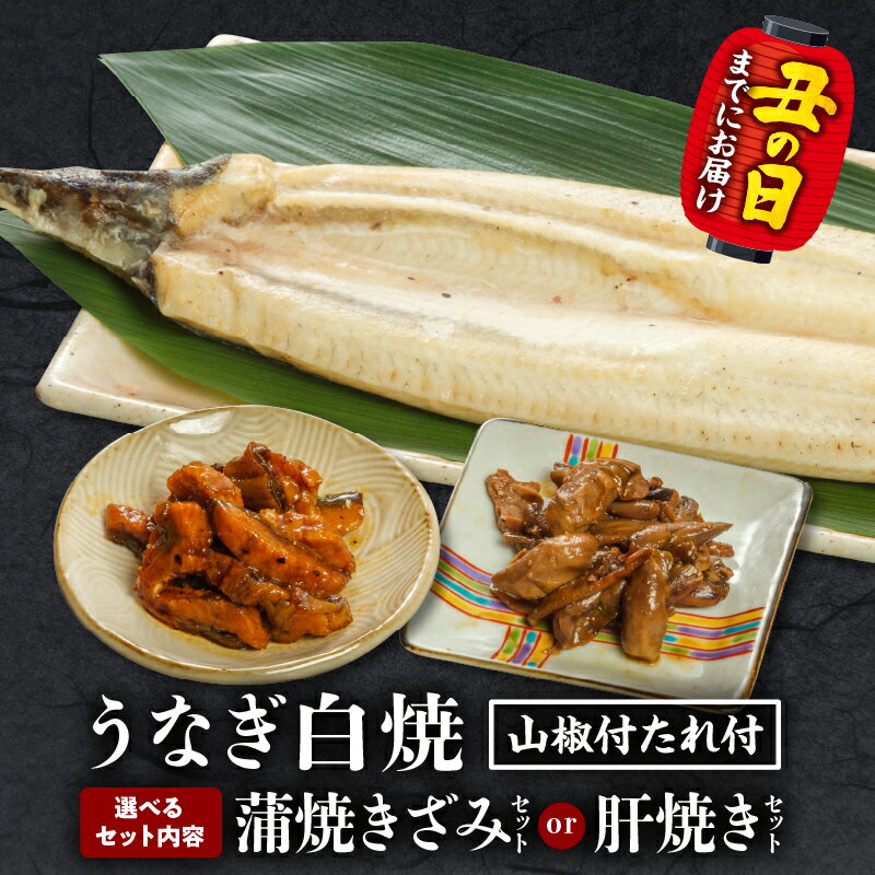 【ふるさと納税】【選べるセット内容・発送月】うなぎ白焼(大サイズ)ときざみ・肝焼きセット うなぎ 鰻の白焼 白焼 うなぎ白焼き きざみ 肝焼き うなぎきざみ セット 詰め合わせ 選べる 惣菜 お惣菜 おかず 贈答 贈り物 ギフト お歳暮 お中元 プレゼント 人気 宮崎市