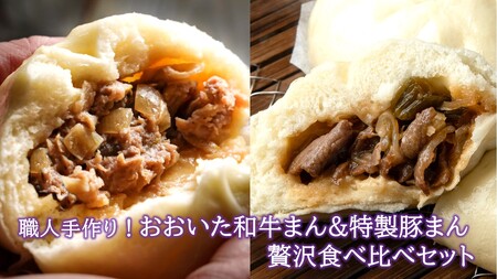 2563R_職人手作りの「おおいた和牛まん&特製豚まん 贅沢食べ比べセット」