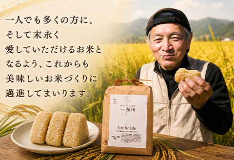 一粒田が作る上場産コシヒカリ 5kg (玄米) コメ お米 ごはん こしひかり