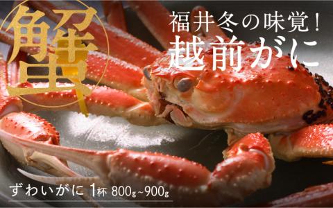 【先行予約！9月30日までの特別価格！！】【産地直送】福井冬の味覚！ 越前がに 1杯 (800～900g)