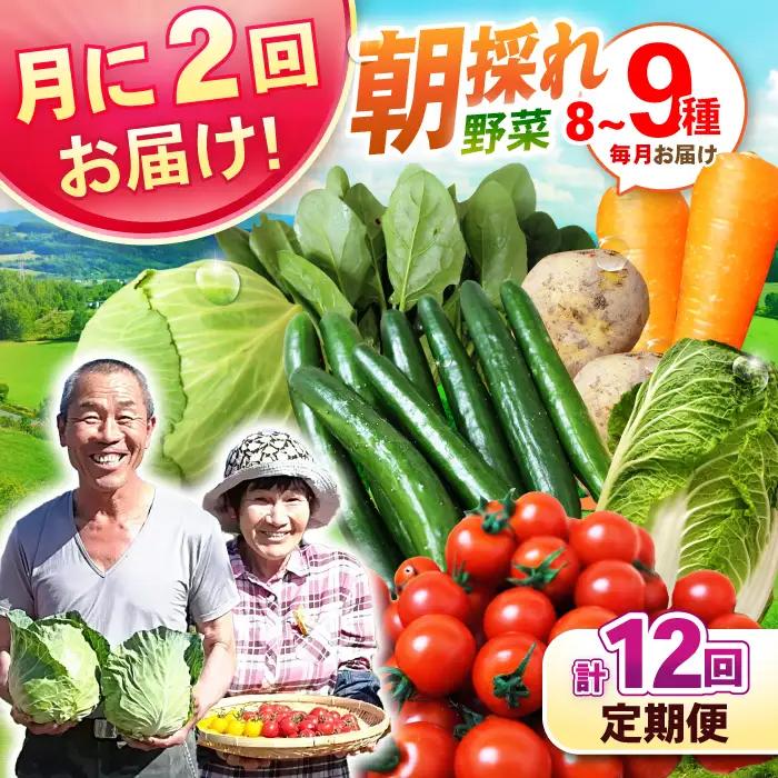月2回お届け【12回定期便】諫早産 野菜の詰め合わせ 8・9品目程度 / 季節 旬 野菜 やさい 春野菜 夏野菜 秋野菜 野菜セット 詰め合わせ 野菜定期 野菜定期便 定期便 / 諫早市 / 肥前グローカル株式会社[AHDI014]