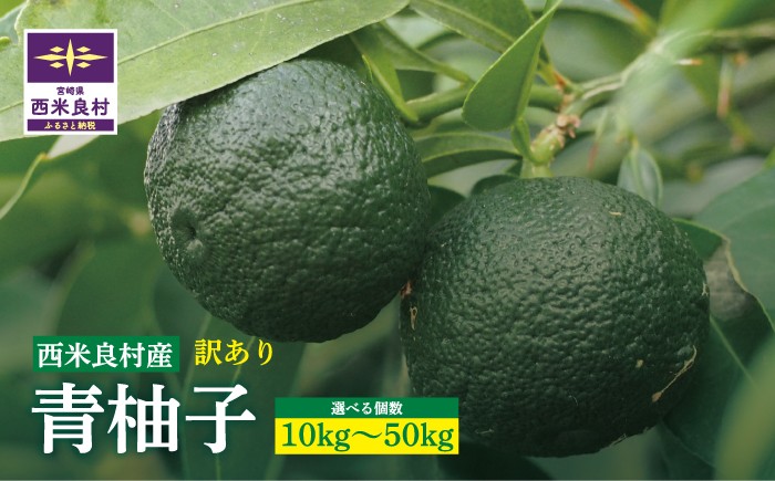 
                  【ワケあり】ワケありの青柚子 10～50kg
                