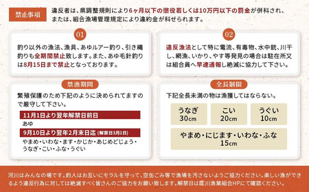 高山市荘川地区 遊漁証・年釣漁券(鮎友釣) 1名分 | 釣り 遊漁証 年釣り 荘川 庄川 庄川漁業協同組合 アウトドア 飛騨高山 桜の郷猿丸管理組合 NN016