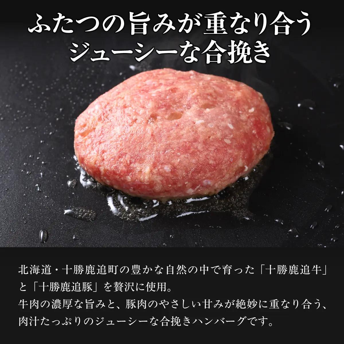 【隔月6回】鹿追産牛豚合挽きハンバーグ　140g ×10個 SKA069-3