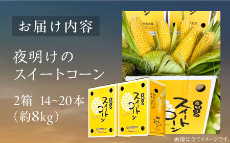 【先行予約】夜明けのスイートコーン 4kg×2箱 (14-20本) 【2025年6月以降順次発送】《豊前市》【アグリネックス】 とうもろこし コーン スイートコーン 20000円[VCO002] とう