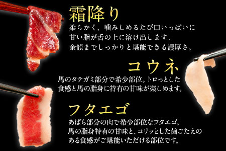 鮮馬刺しスライス＆馬肉惣菜全10種セット 1kg 千興ファーム 馬肉 冷凍 《60日以内に出荷予定(土日祝除く)》 新鮮 さばきたて 生食用 肉 熊本県御船町 馬刺し 馬肉 惣菜 希少部位---sm_fsenslbns_60d_23_22500_1kg---