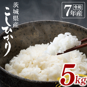 【数量限定】令和7年茨城県産コシヒカリ5kg(NU-1)