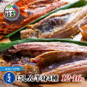 【ふるさと納税】北隆丸 にしん半身4種セット1.2kg（12～16枚）一夜干・塩麹漬・西京漬・チャンジャ漬［300g（3～4枚入）×各1P］ オホーツク枝幸産　【魚貝類・干物・魚貝類・漬魚・味噌漬け・魚貝類・加工食品】