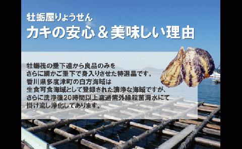 白方産　りょうせん牡蠣　むき身（加熱用）（予約受付中：旬にお届け！2024年1頃月から期間限定出荷！）【A-12】