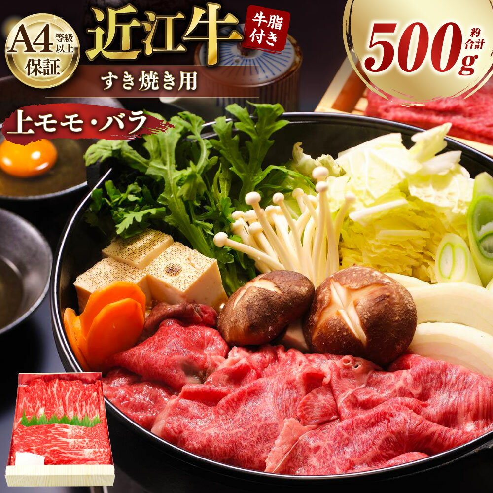 【ふるさと納税】A4等級以上保証！！ 近江牛 すき焼用 約500g 牛脂付き 【近江牛専門店かねきち】 牛肉 お肉 モモ肉 バラ肉 カルビ スライス 霜降り すき焼き すきやき すき焼 冷凍 滋賀県産 国産 滋賀県 湖南市 送料無料