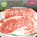 【ふるさと納税】G11P GI認証 くまもと あか牛 ロースステーキ 合計500g (2枚) お肉 ステーキ 牛肉 赤牛 ロース 冷凍 熊本県 合志市 送料無料