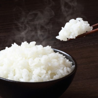 宮城県登米市産 ひとめぼれ 白米 10kg【令和7年産】【1638016】