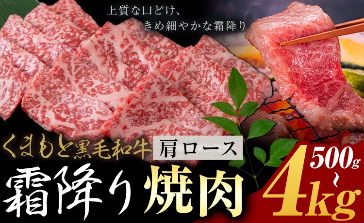 黒毛和牛 霜降り 肩ロース 焼肉  500g 1kg 2kg 4kg《30営業日以内に出荷予定(土日祝除く)》熊本県 氷川町 牛 牛肉 和牛 ブランド牛---hkw_26_lcl_418_500g---