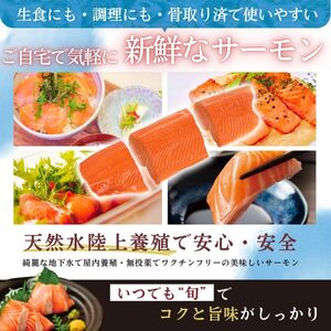 富士頂純サーモン 刺し身セット 半身分2分割 450g以上 富士山麓のきれいな天然水で養殖された安心安全なサーモン 完全無投薬・ワクチンフリー・アニサキスフリー・サステナブルな養殖サーモン フィレ 切