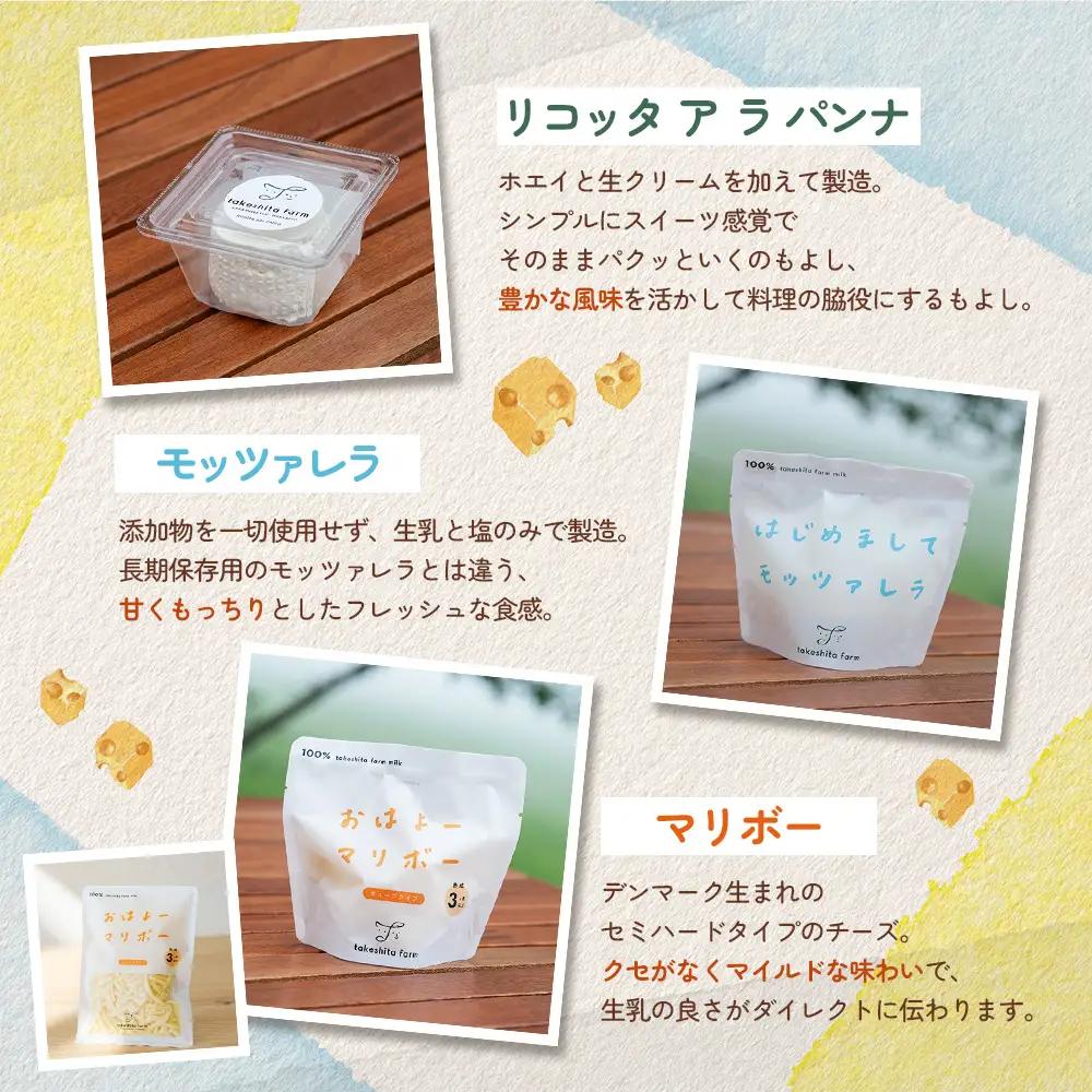 竹下牧場 takeshita farm 【6ヶ月配送】リコッタチーズセット 計470g【2401902】