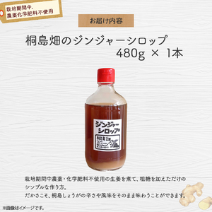 【桐島畑】ジンジャーシロップ 1本（480g） 栽培期間農薬 化学肥料不使用 生姜 Fkh-A08／ 生姜 しょうが 生姜シロップ ジンジャー 無農薬