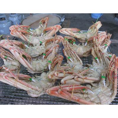 ふるさと納税 宮津市 松葉蟹 ほぐし身(中〜大) ※活き蟹800g級使用【甲羅盛り】 |  | 02