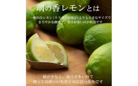 レモン 約5kg 12～25個 璃の香レモン 果物 くだもの 柑橘 フルーツ れもん お取り寄せ 産地直送 おいしい 美味しい 白木果樹園 常温 配送 高知県 高知 土佐市