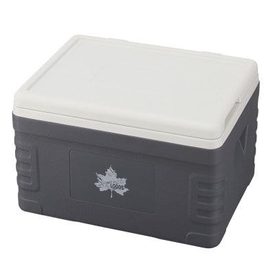 サーモテクト 氷点下クーラー タフ30 大型クーラーボックスでアウトドアやBBQに!81670150【1664390】