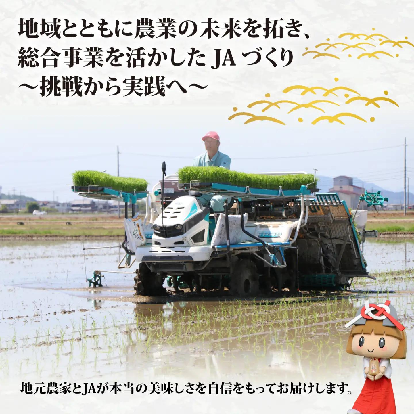 【先行予約】【令和8年産新米早期予約 毎月定期配送・計3回】 キヌヒカリ5kg×3回　おいしい多賀のお米 [D-00402]