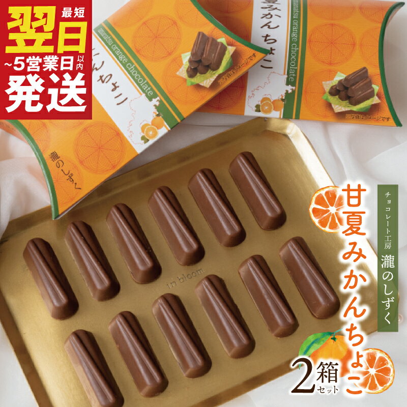 【ふるさと納税】甘夏みかん チョコレート 2箱 セット 瀧のしずく 三重県熊野市産の甘夏みかん チョコ お菓子 洋菓子 おやつ スイーツ 甘味 酸味 米パフ 食品 お取り寄せ お取り寄せスイーツ 最短 翌日発送 5営業日 大阪府 泉佐野市 送料無料