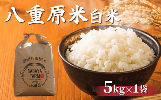 令和7年新米予約！八重原米 白米【5kg】(5kg×1袋)　※2025年10月以降順次発送｜笹屋農園