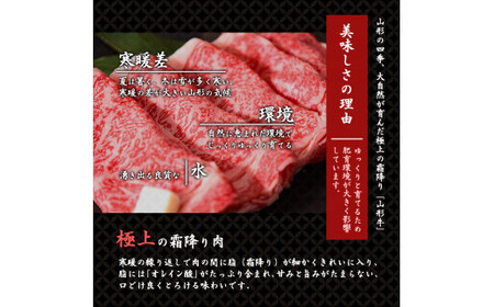 ＜2024年3月発送＞旨味が溢れる！黒毛和牛「山形牛」リブロース ステーキ肉 300g 　022-D-YL016
