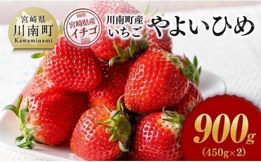 川南町産　いちご「やよいひめ」900ｇ（450ｇ×2）【 期間限定 果物 イチゴ 苺 やよいひめ フルーツ 】