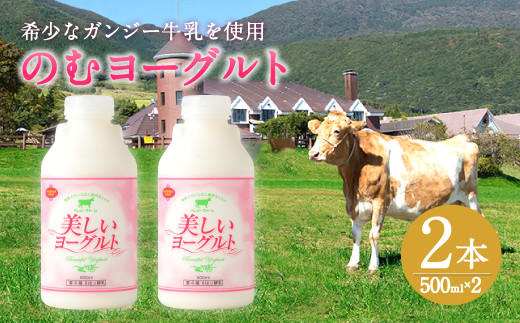 希少なガンジー牛乳使用 のむヨーグルト 500ml×2本 計1L