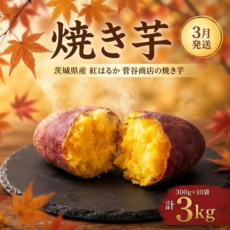 焼き芋 常温 3月発送 3kg 茨城県鉾田市 菅谷商店 やきいも 【 小分け 紅はるか サツマイモ 】 焼き芋