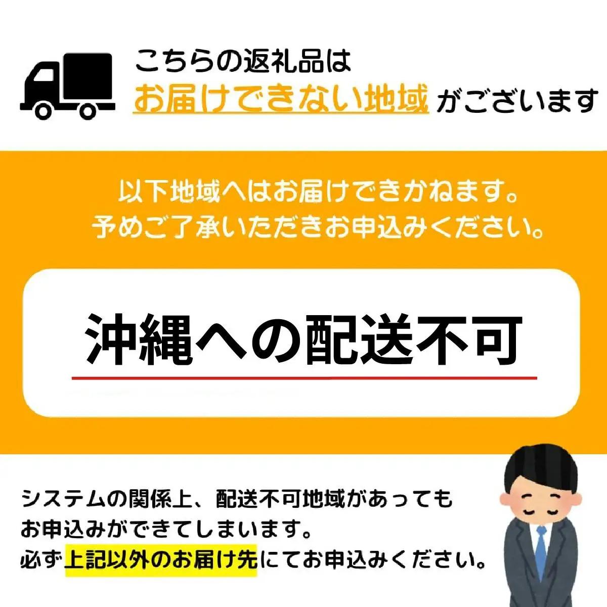 フランスベッド テレス02C 脚付きタイプ シングル フレームのみ