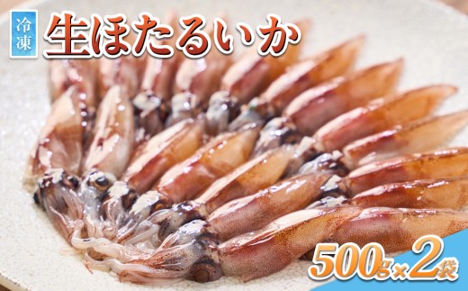 数量限定！生ほたるいか 1㎏ 急速冷凍 ｜鳥取 岩美 ホタルイカ いか 日本海 山陰【24028】