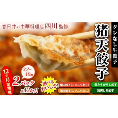 ふるさと納税 春日井市 【猪天しそ餃子】【12ヶ月定期便】春日井の中華料理店四川監修タレなし生餃子「猪天餃子」 12ヶ月