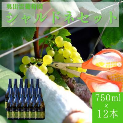 ふるさと納税 雲南市 シャルドネ(白ワイン)750ml×12本セット 辛口