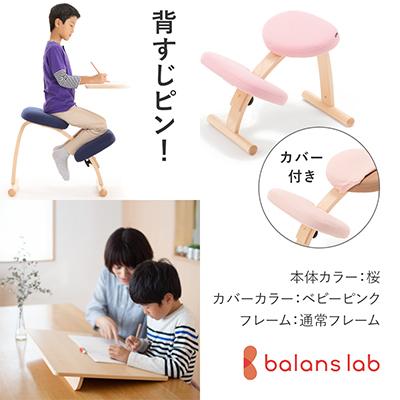 ふるさと納税 美濃市 バランスイージー 通常[桜]カバー付+イージーライティングボードM【複数個口で配送】