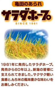 亀田製菓 サラダホープ＆ハッピーターン 各10袋 計20袋 2A09015