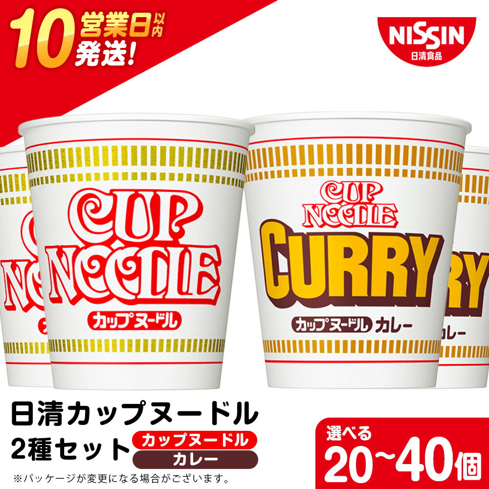【ふるさと納税】 日清ヌードル2種セット カップヌードル・カレーヌードル 選べる各10食・各20食入 合計20食・40食 麺類 ラーメン麺 即席麺 麺類 ラーメン カップ麺 インスタント 麺類 カップラーメン 【北海道千歳市】ギフト ふるさと納税