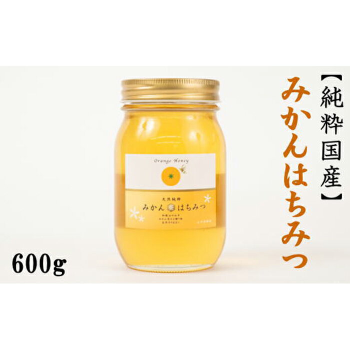 【ふるさと納税】［純粋国産］和歌山県産みかんはちみつ600g★2027年1月下旬より発送［TM55］ | 和歌山県 和歌山 那智勝浦町 楽天ふるさと 納税 返礼品 はちみつ 蜂蜜 ハチミツ 特産品 名産品 国産 国産蜂蜜 国産ハチミツ ハニー 健康食品 純粋はちみつ 純粋ハチミツ