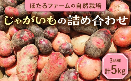 ※数量限定※【先行予約】自然栽培のじゃがいも 3種 約5kg 多治見市 / ほたるファーム 農家直送 芋 詰め合わせ 詰合せ カラフルじゃがいも ジャガイモ 自然栽培 新鮮 おいしい 旬 野菜 季節 限定 送料無料 [TEB002]