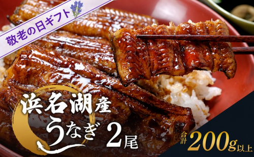 敬老の日ギフト 浜名湖産うなぎ 蒲焼き 2尾（100g以上×2尾）山椒たれ付き 国産 うなぎセット 国産うなぎ 浜名湖うなぎ 海老仙 静岡 浜松市