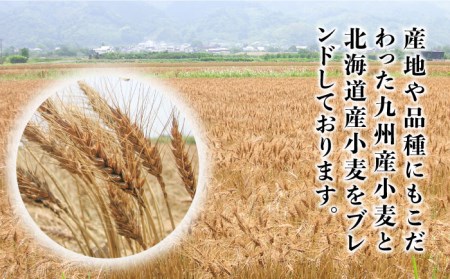 島原 手延 そうめん 山道そうめん 国産小麦 100 / 50g×45束 / そうめん 素麺 麺 乾麺 / 南島原市 / そうめんの山道[SDC007]