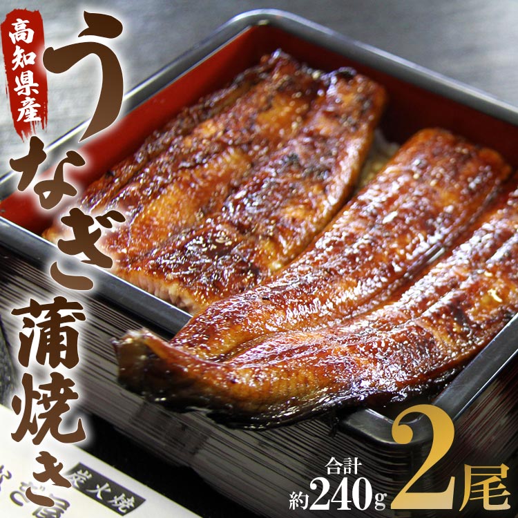 うなぎ屋きた本 うなぎ蒲焼き 2尾(合計約240g)(無頭)  - 送料無料 鰻 ウナギ 晩御飯 おかず おつまみ アテ スタミナ プレゼント ギフト 贈答 丑の日 父の日 敬老の日 うなぎ屋きた本 